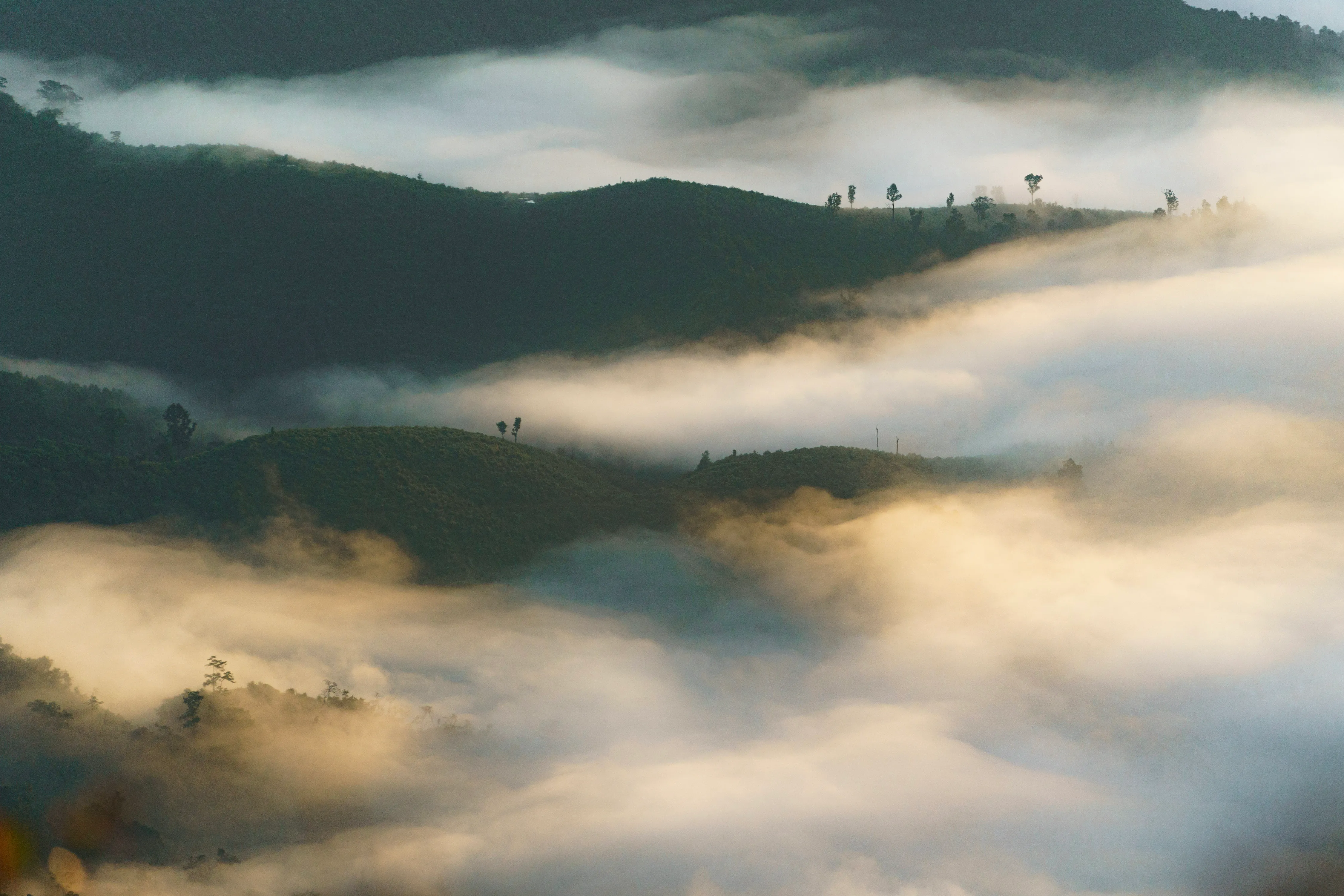 Northern mountains in the morning mist